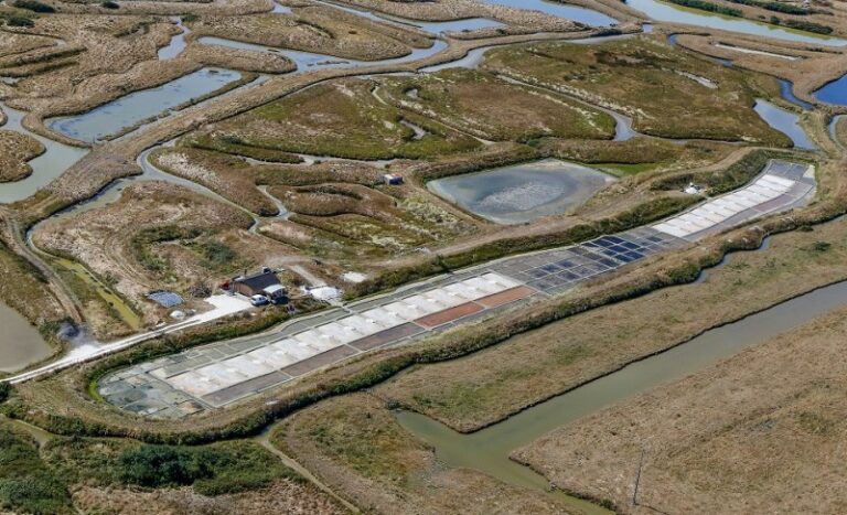 Salines de Daniel Robard 768x467