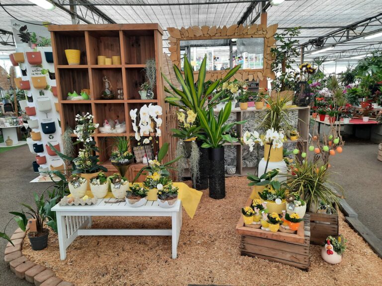 nadine fleurs 2 768x576